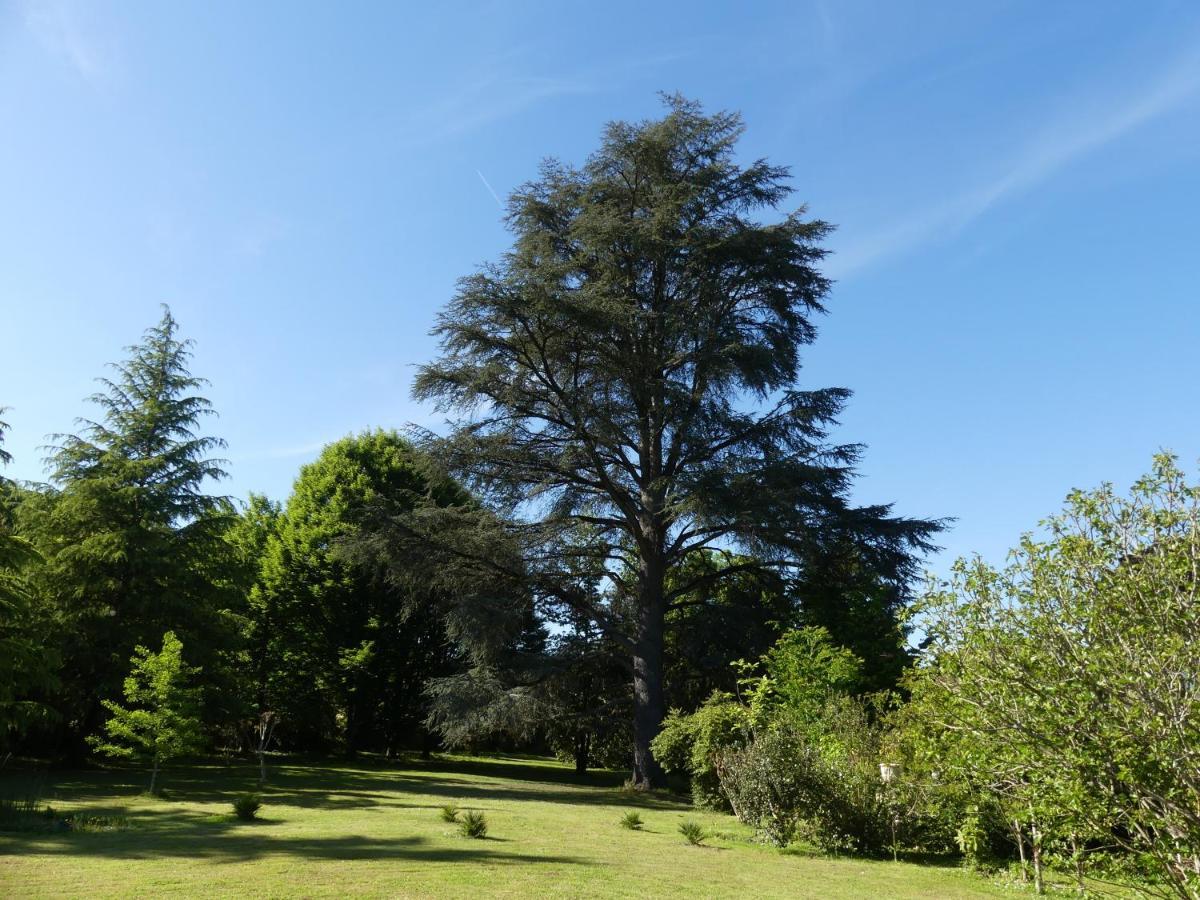 Le Petit Chateau - Adults Only Property Le Bugue Esterno foto